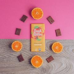 Ciocolata bogata in lapte cu mandarine Bio