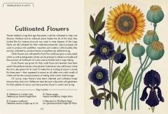 Botanicum (Mini Gift Edition)