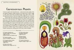 Botanicum (Mini Gift Edition)