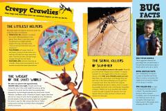 Big World of Fun Facts