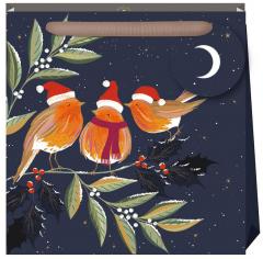 Punga cadou - Robins Chorus - Medium Bag