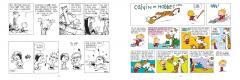 The Calvin and Hobbes Portable Compendium - Set 3