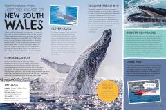 Your Ultimate Travel Adventure List