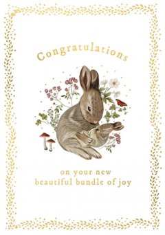 Felicitare -  Congratulations