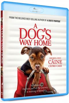 Drumul unui caine catre casa / A Dog's Way Home (Blu-Ray Disc)