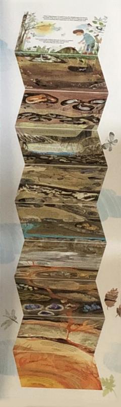 Pas cu pas spre adancimi