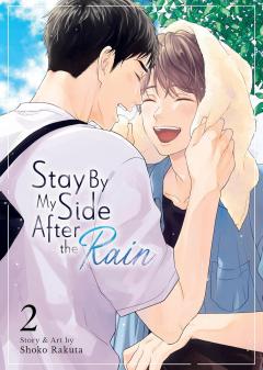 Stay By My Side After the Rain - Volume 2