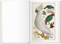 Cabinet of Natural Curiosities 