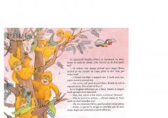 Am curaj! Mi-e frica! - Intoarce cartea