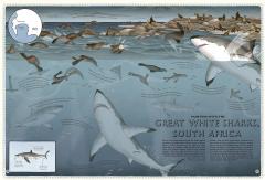 Atlas of Ocean Adventures