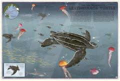 Atlas of Ocean Adventures