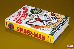 Marvel Comics Library. Spider-Man. 1962-1964