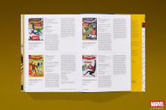 Marvel Comics Library. Spider-Man. 1962-1964