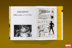 Marvel Comics Library. Spider-Man. 1962-1964