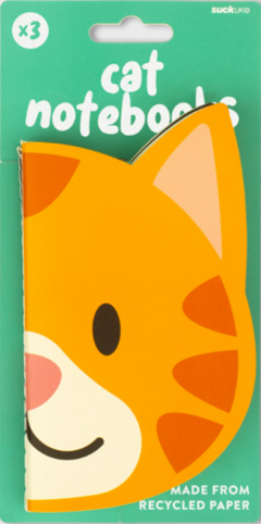 Set 3 Carnete  - Cat