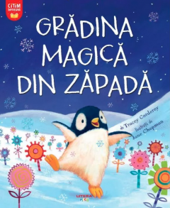Gradina magica din zapada