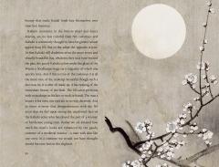 In praise of shadows