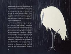 In praise of shadows