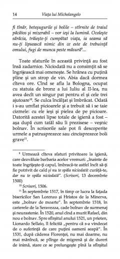 Viata lui Michelangelo