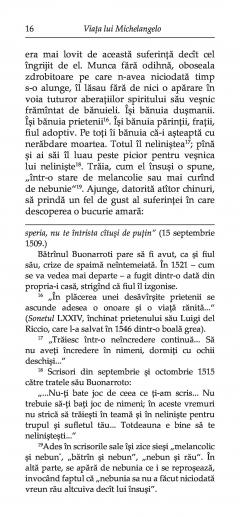 Viata lui Michelangelo