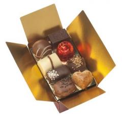 Praline - Ballotin Christmas Holly, 12 praline