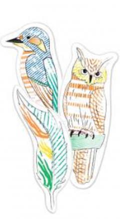 Set pictura cu apa - Semne de carte - Pasari