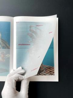 Individual Compus / Individual All-Around