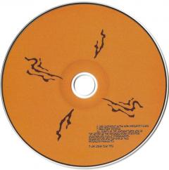 Cobra And Phases Group Play Voltage In The Milky Night