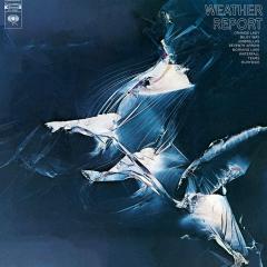 Weather Report - Blue Vinyl