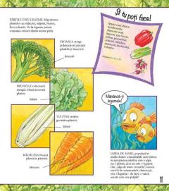 Nu ai vrea sa traiesti fara legume!