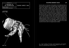 A Bestiary of the Anthropocene
