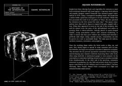 A Bestiary of the Anthropocene