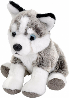 Jucarie de plus - Husky