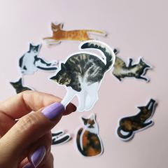 Sticker - Tuxido Cat