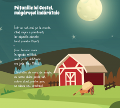 Pataniile lui Costel, magarusul indaratnic