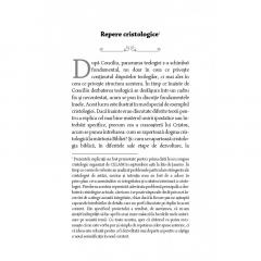 Privind la cel strapuns