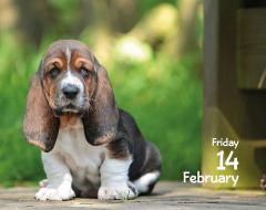 Calendar de birou 2025 - Mini - Puppies