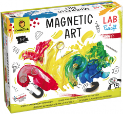 Joc Steam - Arta cu magneti