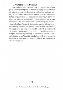 Tarotul celui de-al cincilea spirit