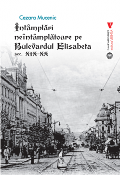 Intamplari neintamplatoare pe Bulevardul Elisabeta sec. XIX-XX