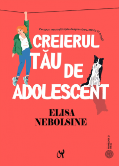 Creierul tau de adolescent
