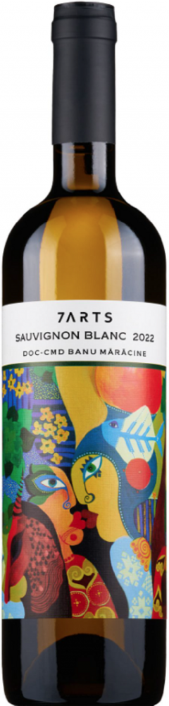 Vin alb - Sauvignon Blanc 2022