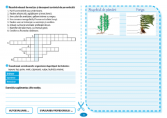 Caietul elevului. Biologie clasa a V-a