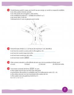 Antrenament pentru performanta - Clasa a IV-a