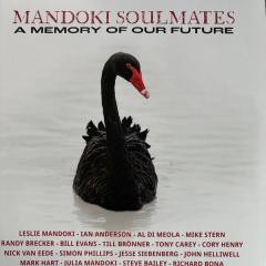 A Memory Of Our Future - White Vinyl