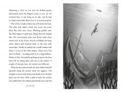 The New Famous Five - Five and the Forgotten Treasure