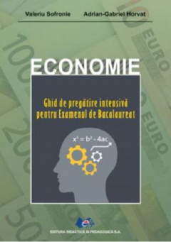 Economie. Ghid de pregatire intensiva pentru examenul de Bacalaureat