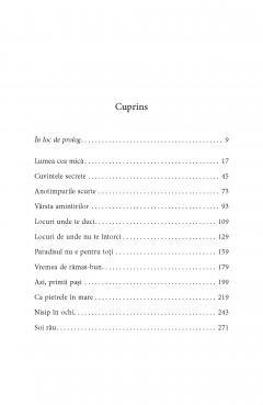 Povestea unei familii perfecte