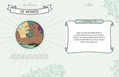 Kama Sutra for Beginners