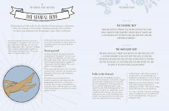 Kama Sutra for Beginners